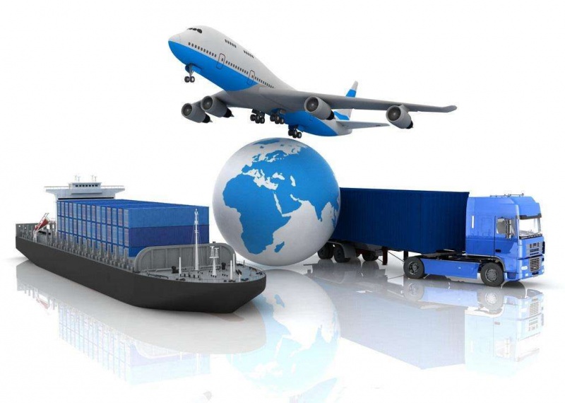 公司D体育（中国）文化建设主要包括哪些内容？