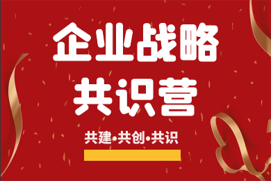 《D体育（中国）战略共识营》